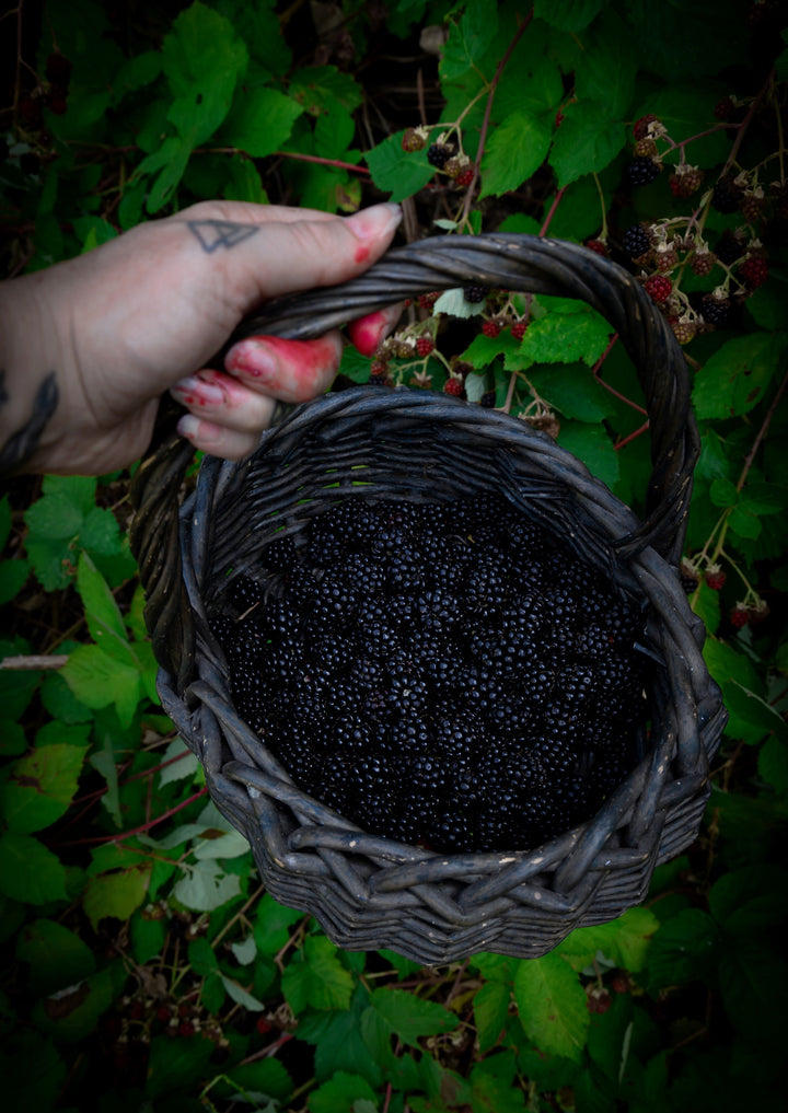 Nectar of the Fae – Midgaarb